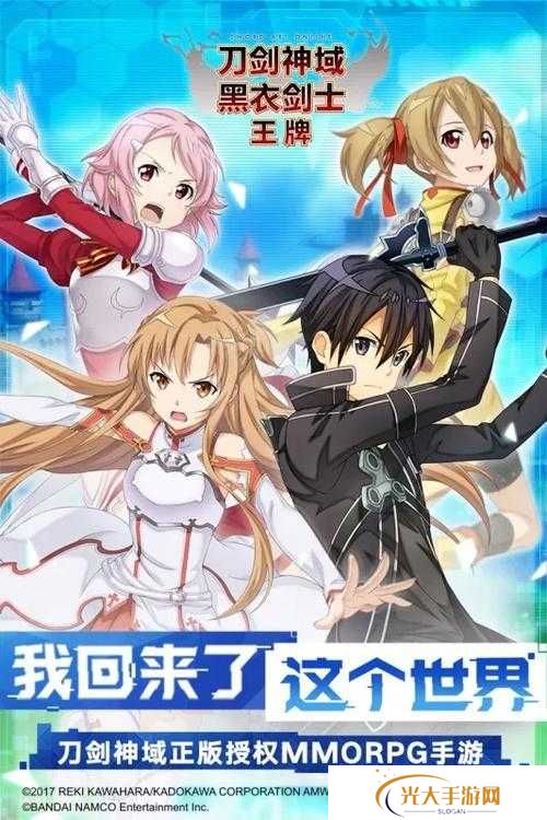 刀剑神域黑衣剑士王牌双手斧专精选哪个好在资源管理中的重要性及策略