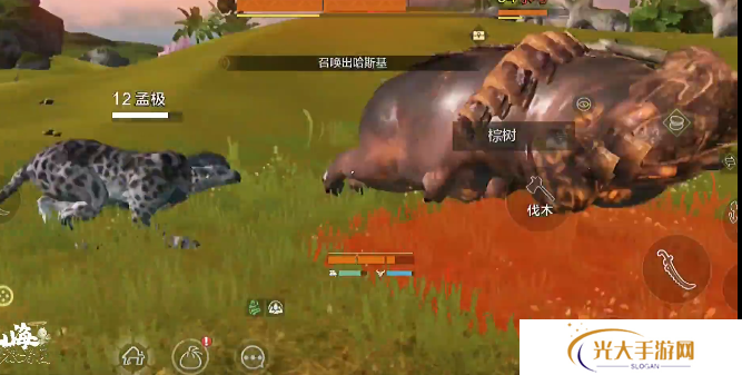 小森生活芝麻熊位置及捕捉方法介绍