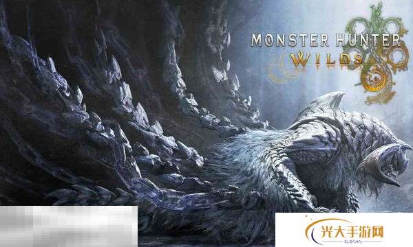 怪物猎人荒野全武器通用毕业龟壳套配装分享 龟壳套配装推荐