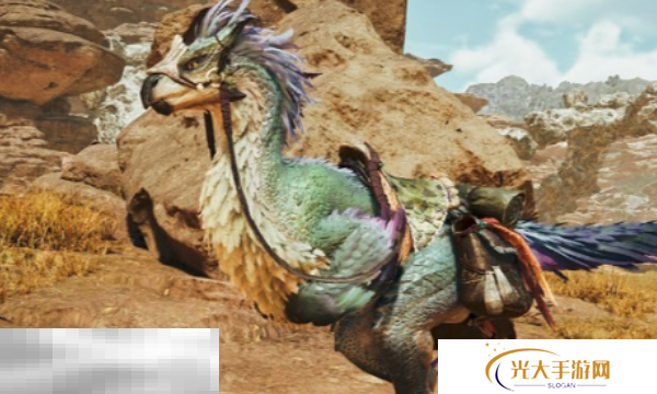 怪物猎人荒野全武器通用毕业龟壳套配装分享 龟壳套配装推荐