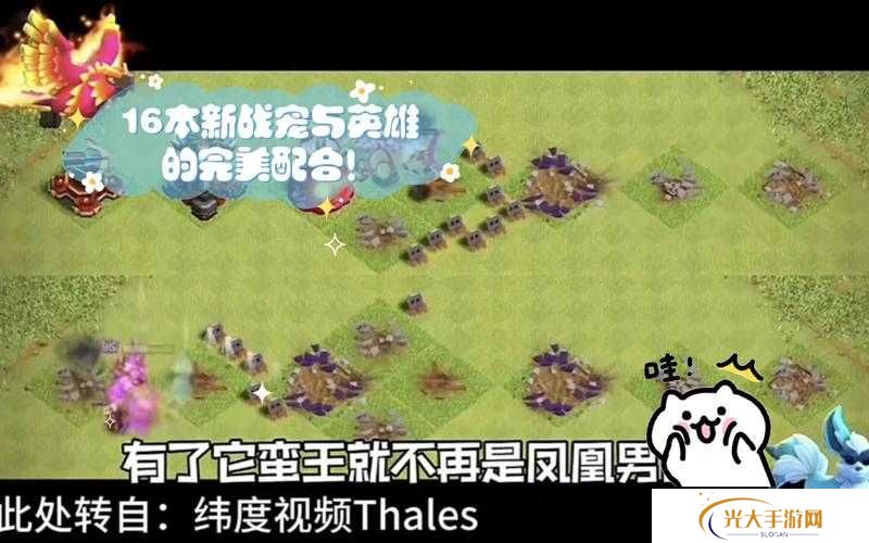 部落冲突战宠莱希真那么强？属性及升级数据全面剖析